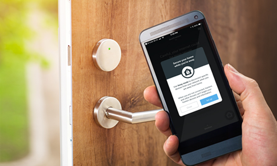 IoT Anomaly and Botnet Detection